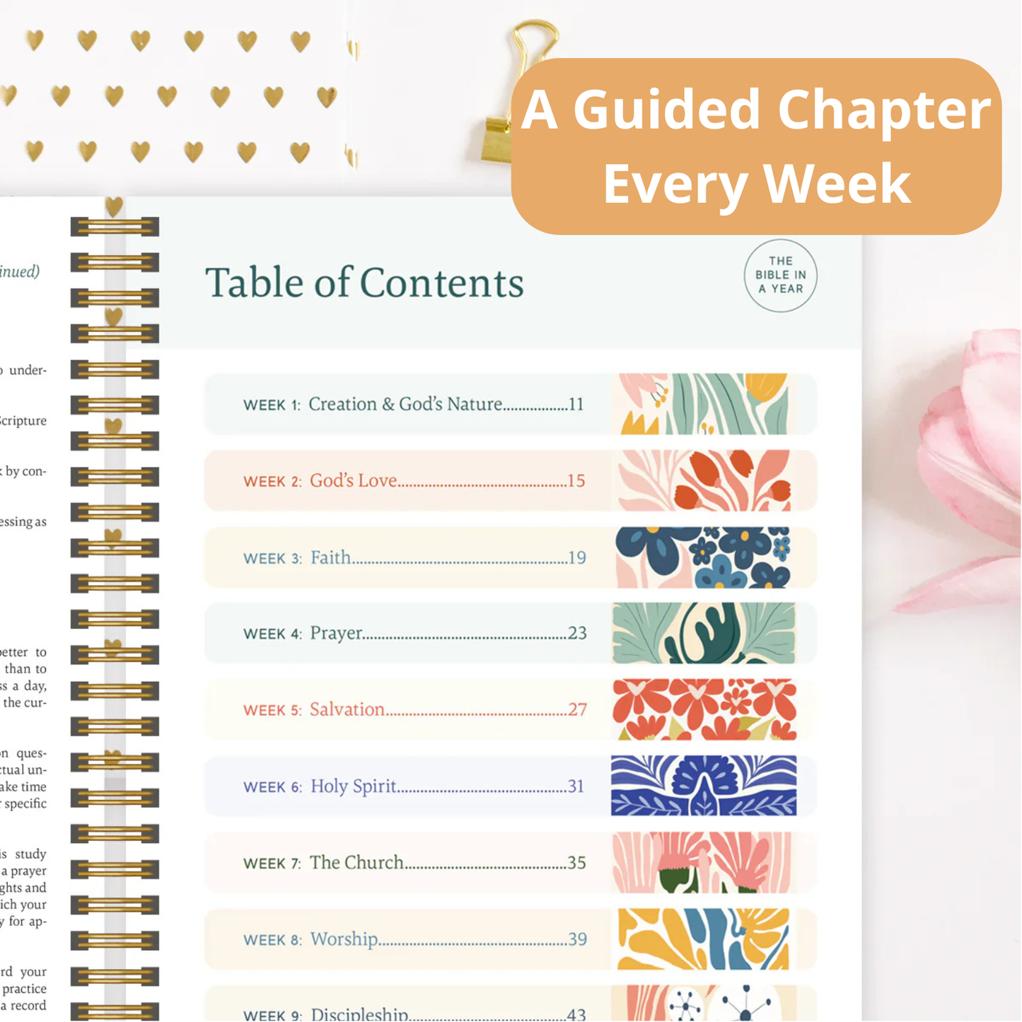 The Bible In A Year: A 52-Week Journey With GOD